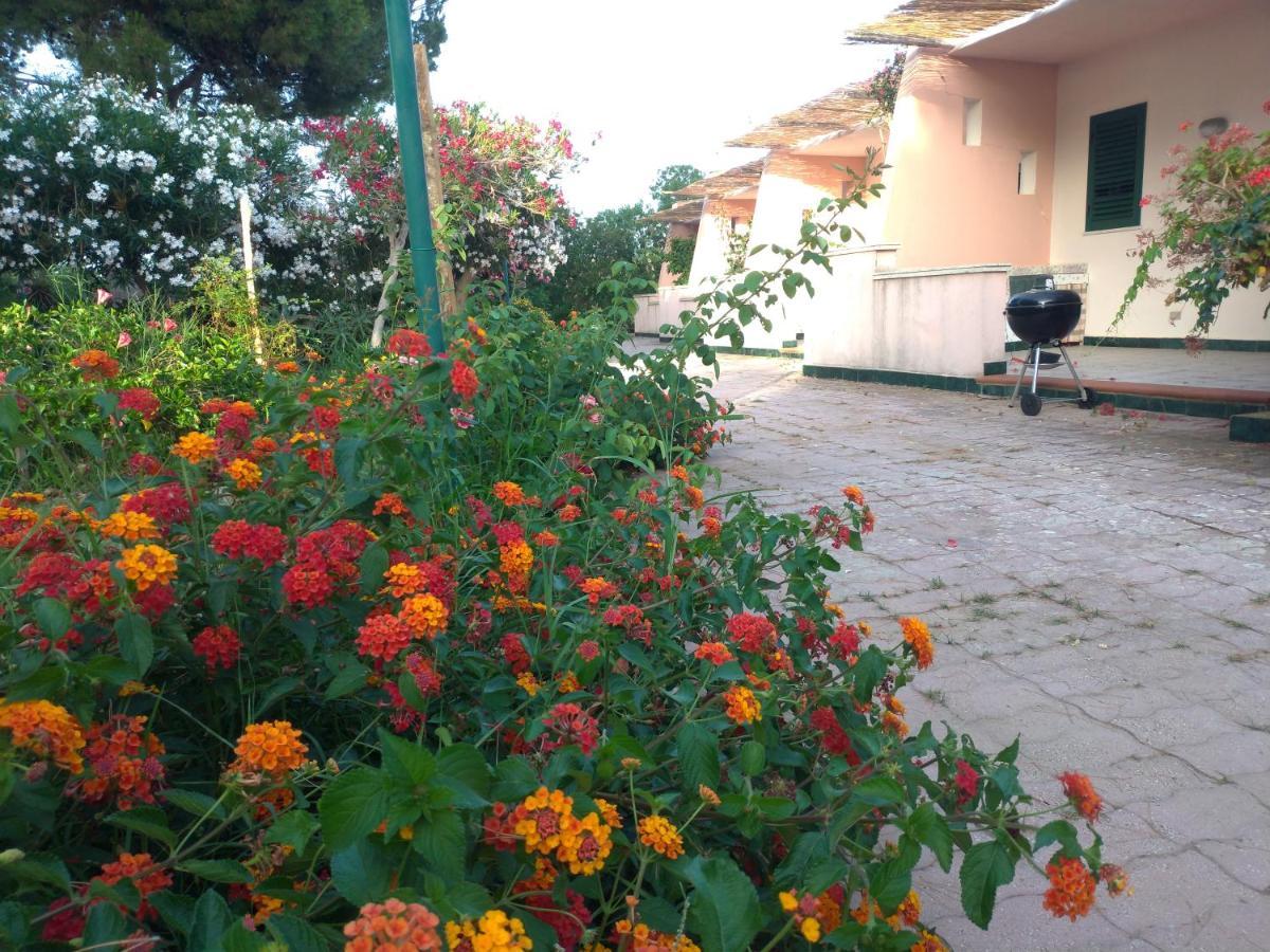 Villa Teti - Sicilia Campofelice Di Roccella Eksteriør billede
