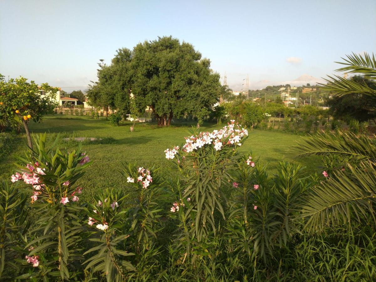 Villa Teti - Sicilia Campofelice Di Roccella Eksteriør billede